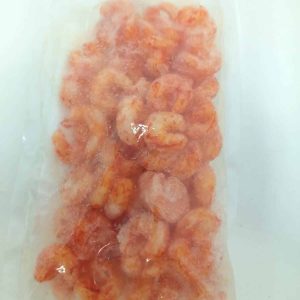 WhatsApp Image 2026-02-25 at 10.08.21 (1)